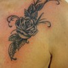 DSC06566